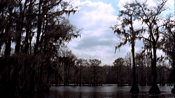 Wind Howling Through Swampland, Uncertain, TX_KyleHughes