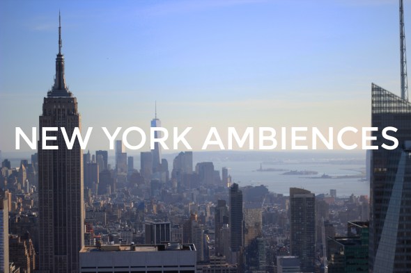 NYAMB cover half size