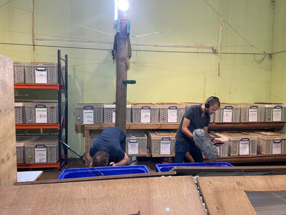 Phil and Michael recording at the ZSL Live Food Department